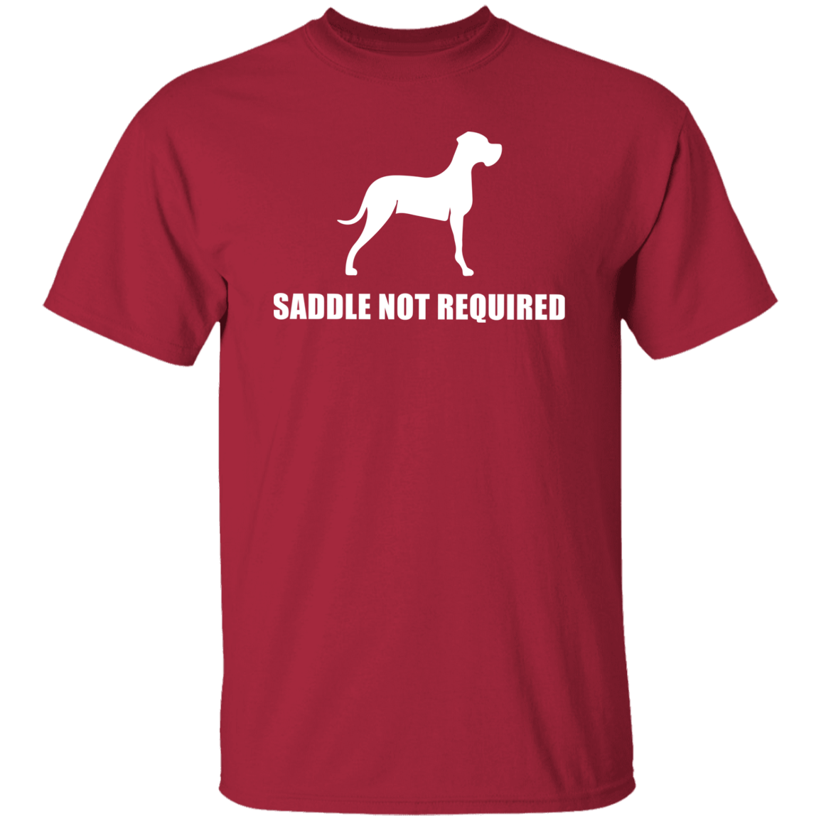 Saddle Not Required